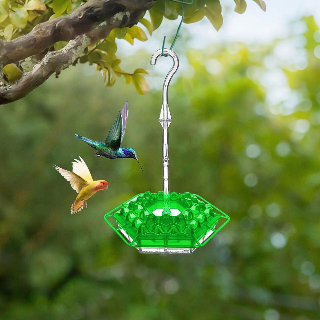 Hummingbird Feeder - Ant-Proof - Outdoor Hanging with Perch