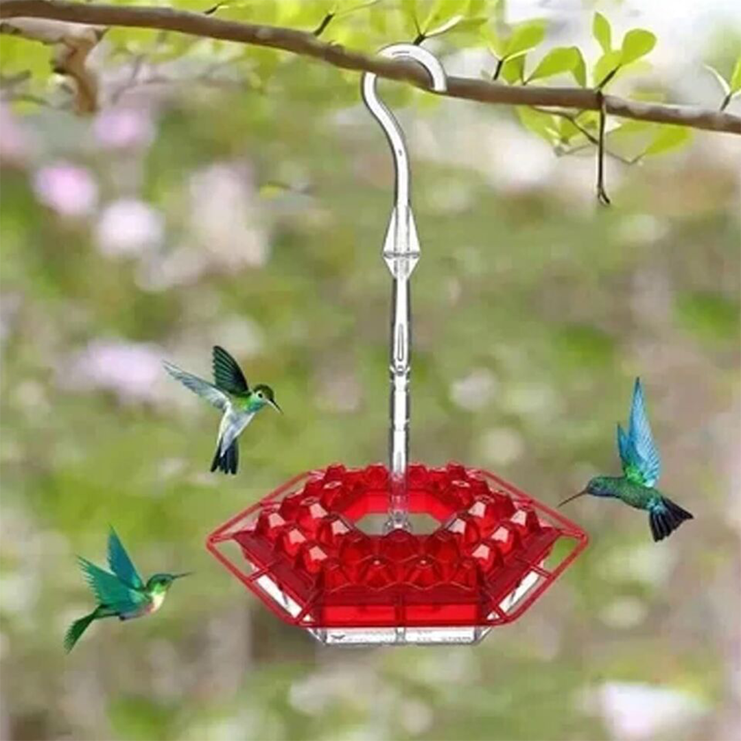 Hummingbird Feeder - Ant-Proof - Outdoor Hanging with Perch