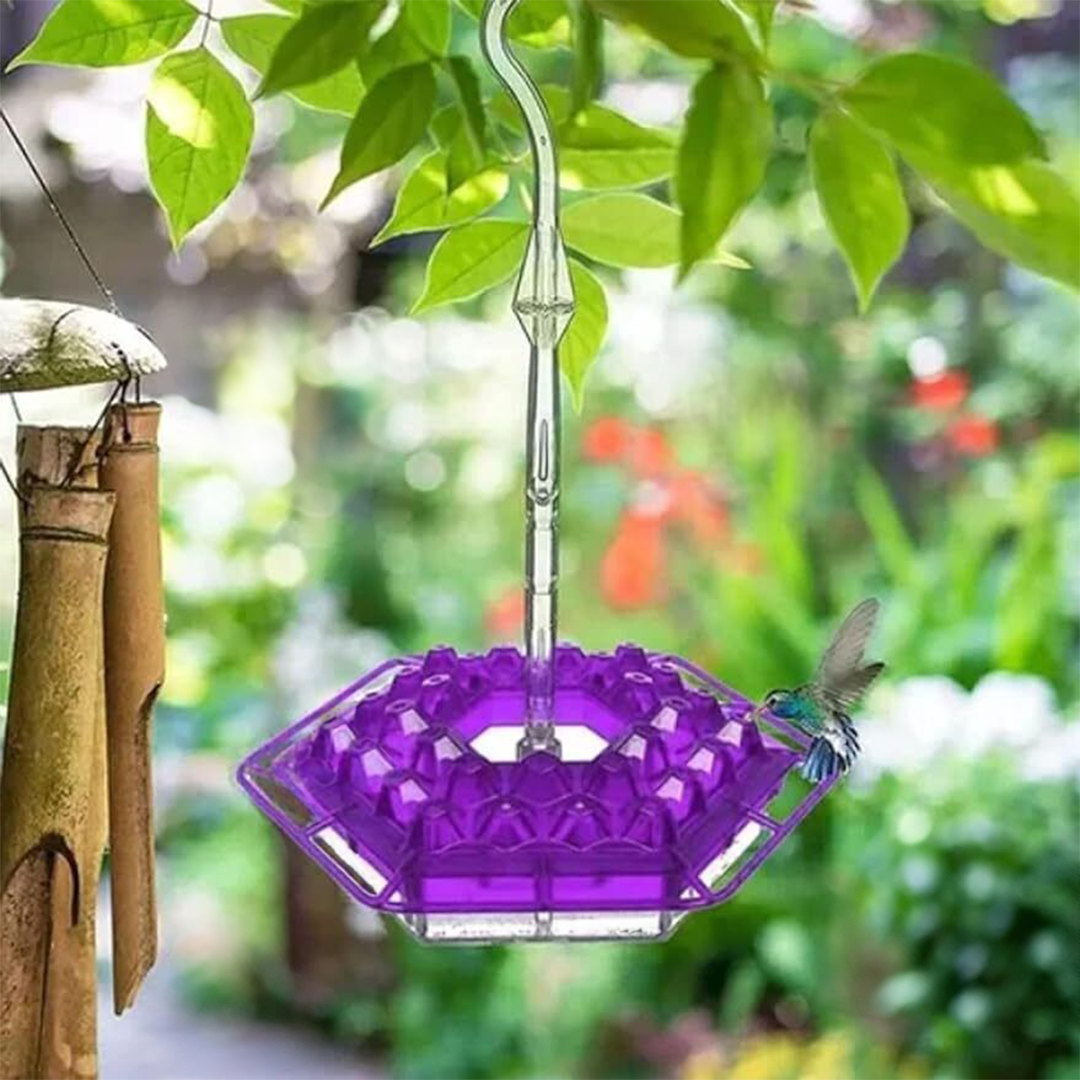 Hummingbird Feeder - Ant-Proof - Outdoor Hanging with Perch