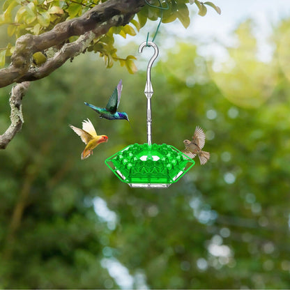 Hummingbird Feeder - Ant-Proof - Outdoor Hanging with Perch