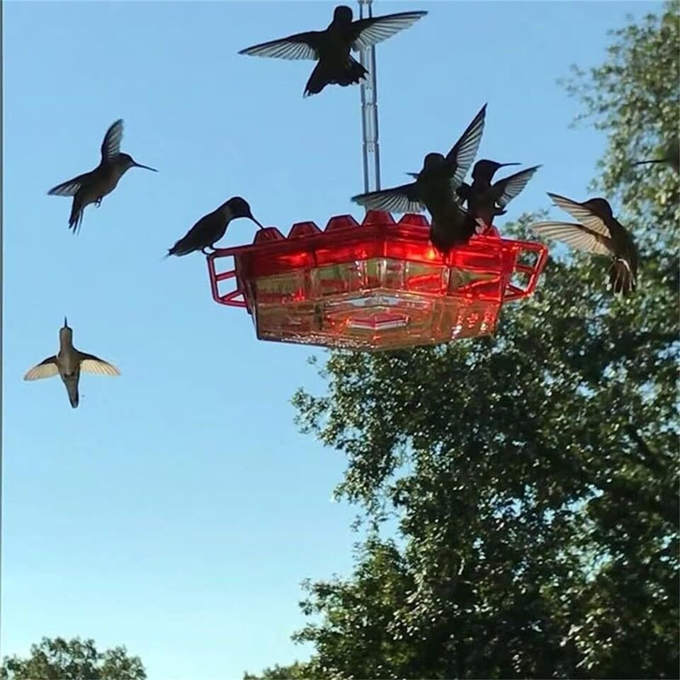 Hummingbird Feeder - Ant-Proof - Outdoor Hanging with Perch
