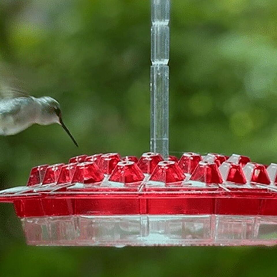Hummingbird Feeder - Ant-Proof - Outdoor Hanging with Perch