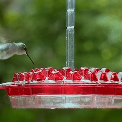 Hummingbird Feeder - Ant-Proof - Outdoor Hanging with Perch